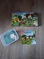 Lego Minecraft *21559*, Kinderen en Baby's, Speelgoed | Duplo en Lego, Ophalen of Verzenden, Gebruikt, Complete set, Lego
