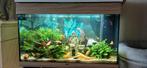 Tekoop juwel 125 compleet, Dieren en Toebehoren, Vissen | Aquaria en Toebehoren, Ophalen of Verzenden, Zo goed als nieuw, Gevuld zoetwateraquarium