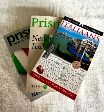 Een degelijke set van 3 Italiaanse Woordenboeken beschikbaar voor biedingen