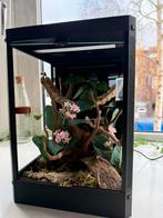 Terrarium 20x20x28,5, Dieren en Toebehoren, Ophalen of Verzenden, Zo goed als nieuw
