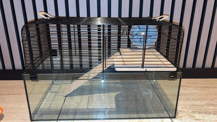 Hamster kooi, Dieren en Toebehoren, Knaagdieren en Konijnen | Hokken en Kooien, Zo goed als nieuw, Kooi, Minder dan 60 cm, Minder dan 75 cm