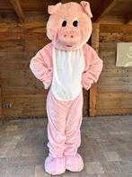 feestje? huur kerstman paashaas / konijn ooievaar sint piet, Ophalen of Verzenden, Zo goed als nieuw