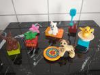 Duplo Huisdieren 10838 compleet, Ophalen of Verzenden, Zo goed als nieuw, Complete set, Duplo