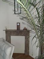 Mooie marmeren schouw, Huis en Inrichting, Ophalen, Gebruikt, Vrijstaande haard, Overige soorten