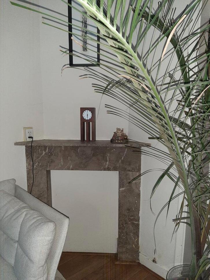 Mooie marmeren schouw, Huis en Inrichting, Haarden, Gebruikt, Overige soorten, Ophalen