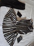 Zilver Zwart Carnavalspakje Maat M, Kleding | Dames, Carnavalskleding en Feestkleding, Maat 38/40 (M), Carnaval, Ophalen of Verzenden