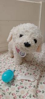 Baby born witte hond, Ophalen of Verzenden, Zo goed als nieuw, Hond