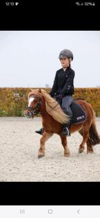 Super Lieve kinderpony, Dieren en Toebehoren, Pony's, Merrie, Niet van toepassing, A pony (tot 1.17m), Gechipt