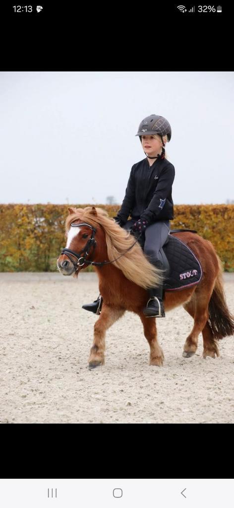 Super Lieve kinderpony, Dieren en Toebehoren, Pony's, Merrie, Niet van toepassing, A pony (tot 1.17m), Recreatiepony, 11 jaar of ouder