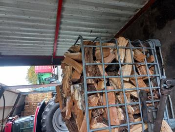 4 kuub eik en en beuk beschikbaar voor biedingen