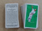 Tennis complete set 50 vintage cigarette cards 1936, Ophalen, Overige sporten, Poster, Plaatje of Sticker