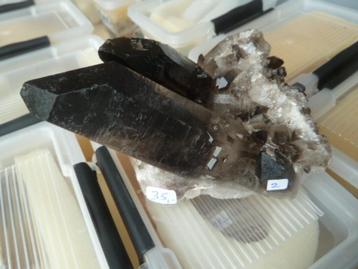 Rookkwarts (02) beschikbaar voor biedingen