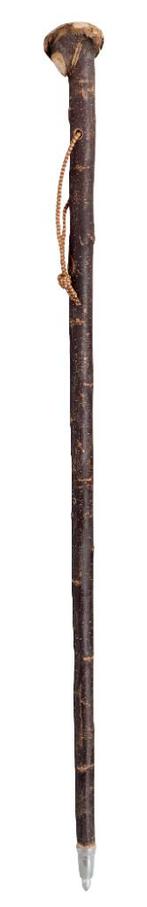 Outdoor stokken, Verzenden, Nieuw, Wandelstok