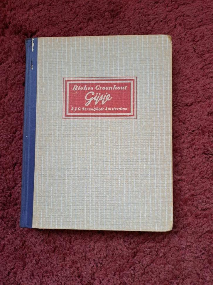 Gijsje door Riekes Groenhout, Boeken, Overige Boeken, Zo goed als nieuw, Verzenden