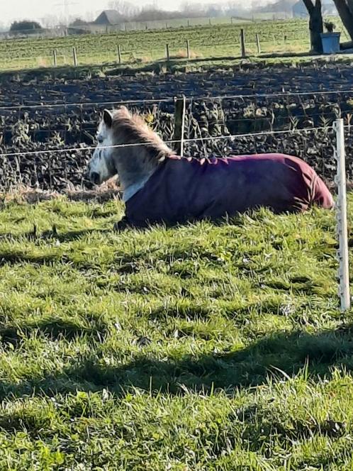 Rindal deken 145 met 2 liners, Dieren en Toebehoren, Paarden en Pony's | Dekens en Dekjes, Ophalen of Verzenden