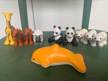 duplo dieren beschikbaar voor biedingen