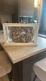 Decoratie voor op je kozijn, Huis en Inrichting, Ophalen of Verzenden