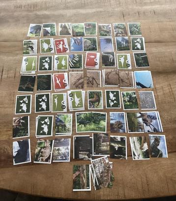 Coop Dinosaurus stickers beschikbaar voor biedingen