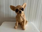 Chihuahua beelden zittend nieuw, Verzamelen, Beelden en Beeldjes, Ophalen of Verzenden, Nieuw, Dier