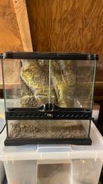 Exo Terra 30x30x30 terrarium, Dieren en Toebehoren, Reptielen en Amfibieën | Toebehoren, Ophalen, Gebruikt, Terrarium of Paludarium