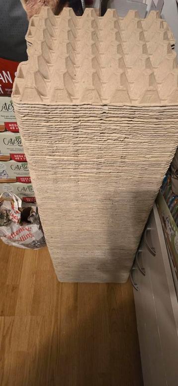 Grote Stapel Eierdozen - 180+ Stuks beschikbaar voor biedingen