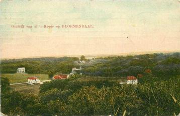 (300-020-017) Bloemendaal beschikbaar voor biedingen