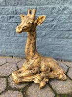 Giraf zittend bronze kleur 60 cm, Verzamelen, Beelden en Beeldjes, Nieuw, Ophalen of Verzenden, Dier