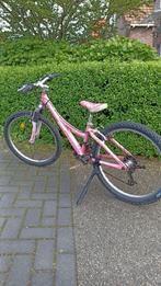Trek Mountainbike 24”  roze, Fietsen en Brommers, Fietsen | Mountainbikes en ATB, Gebruikt, Trek, Minder dan 45 cm, Hardtail