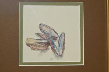 Aquarel 'Mosselschelpen' Hans Hohmann 2007 beschikbaar voor biedingen