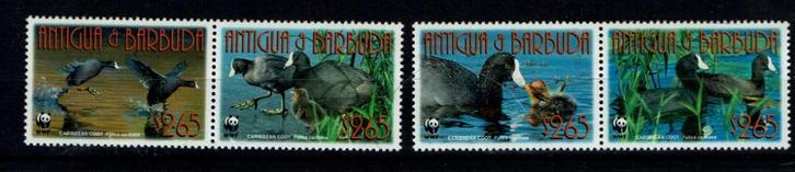 antigua 2009 pf wwf serie meerkoet vogels birds watervogels, Postzegels en Munten, Postzegels | Thematische zegels, Postfris, Dier of Natuur