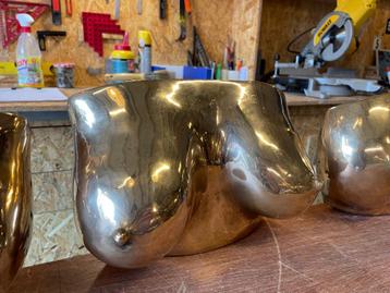 Unieke serie van 5 massief bronzen borsten gepolijst beschikbaar voor biedingen