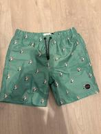 Zwembroek maat 158/164, Ophalen of Verzenden, Zo goed als nieuw, Hema, Maat 158