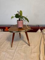 Plantentafeltje, fifties, sixties,Rockabilly, vintage, Ophalen of Verzenden, Halfschaduw, Minder dan 100 cm