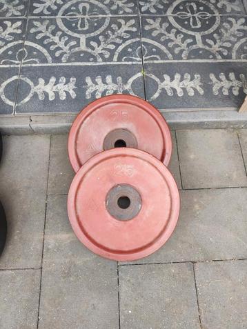2 x 25 kg oldschool bumper plates beschikbaar voor biedingen