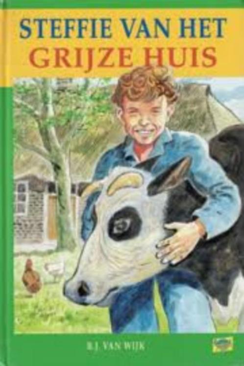 Steffie van het grijze huis Jaap Kramer 9789033625916, Boeken, Kinderboeken | Jeugd | 10 tot 12 jaar, Zo goed als nieuw, Ophalen of Verzenden