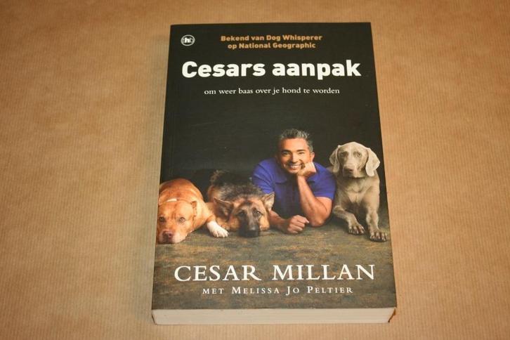 Cesars aanpak om weer baas te worden over je hond, Boeken, Dieren en Huisdieren, Gelezen, Honden, Ophalen of Verzenden
