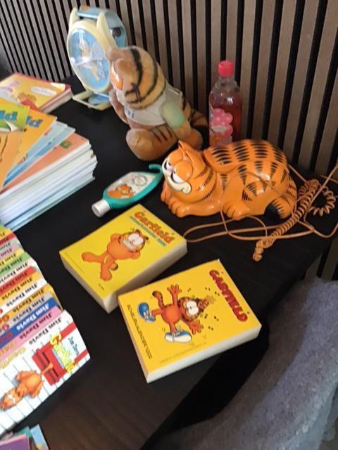 Te koop Garfield verzameling, Verzamelen, Complete verzamelingen en Collecties, Ophalen