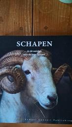 Schapen  in de weide van de lage landen, Ophalen, Zo goed als nieuw