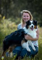 Dekmeester en professionele hulp bij honden fokkerij, 6 jaar of ouder, Nederland, Reu, Meerdere