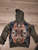 Mooie vest met capuchon maat 110 / 116, Ophalen of Verzenden, Zo goed als nieuw, Jongen, Trui of Vest