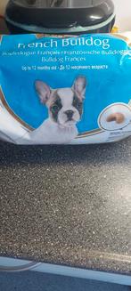 GRATIS RC franse bulldog pup brokken, Ophalen, Hond