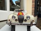 1:18 Jaguar Mark II 3.8 Bob Jane 1962 Model Icons / JJTOP, Hobby en Vrije tijd, Modelauto's | 1:18, Overige merken, Auto, Ophalen of Verzenden
