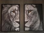 2 canvas met baklijst wallfield 60x90, Ophalen, Zo goed als nieuw