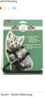 3 kitten tuigjes, Dieren en Toebehoren, Ophalen of Verzenden, Zo goed als nieuw, Speeltunnel