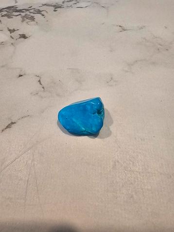 Gekleurde Howliet uit Peru beschikbaar voor biedingen