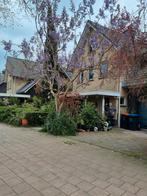Anna Paulowna Boompjes, Overige soorten, Volle zon, Vaste plant, Ophalen of Verzenden
