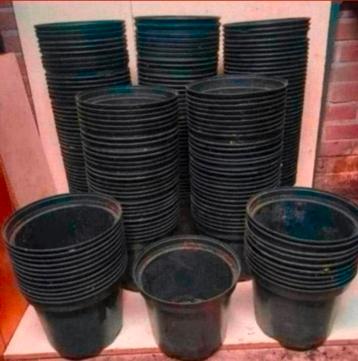 Kweekpotten 5 liter beschikbaar voor biedingen