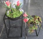 PTMD - PLANTEN SCHALEN SET - METAAL - BRONS, Tuin en Terras, Bloempotten, Rond, Nieuw, Ophalen of Verzenden, Metaal