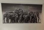 Leuke poster met omlijsting van olifanten, Huis en Inrichting, Woonaccessoires | Schilderijen, Tekeningen en Foto's, Ophalen, Zo goed als nieuw