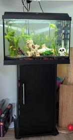 Juwel aquarium met kast, vissen en toebehoren, Dieren en Toebehoren, Vissen | Aquaria en Toebehoren, Ophalen, Zo goed als nieuw